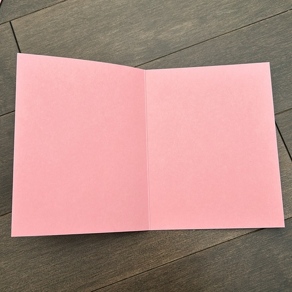 PAPER SOURCE Blossom Pink Blank Greeting Cards & Envelopes, Paper Craft Letters - Picture 2 of 6